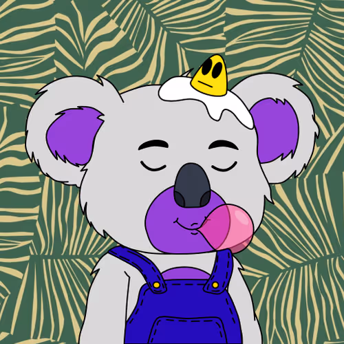 Polly Koalas