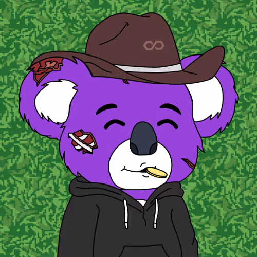 Polly Koalas