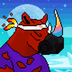 504