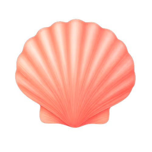 Conchiglie del Silenzio Genesi