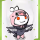 253243