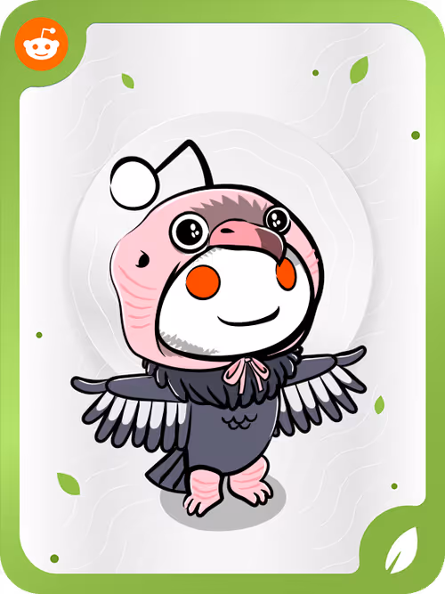 Item #240597 Media