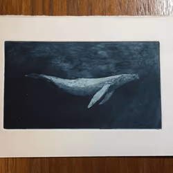 Whale&Blue
