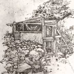 Shed&Me