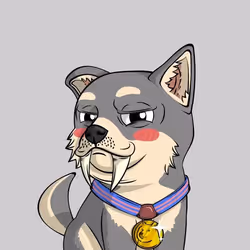 803