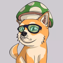 6042
