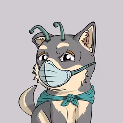 7248