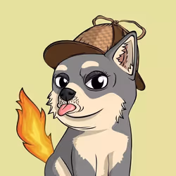 7242