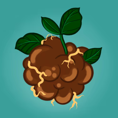 SOLORAISE | Proceso de Germinación