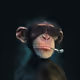 Zombie Ape