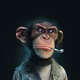 Zombie Ape