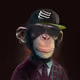 Zombie Ape