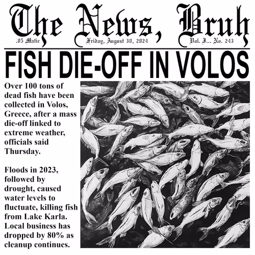 Thenewsbruh