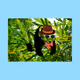 4496