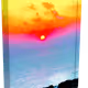 29