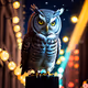 Owl in the night