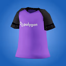 Decentraland Polygon Wearables