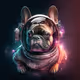 Charming French Bulldog