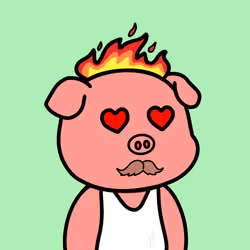 66