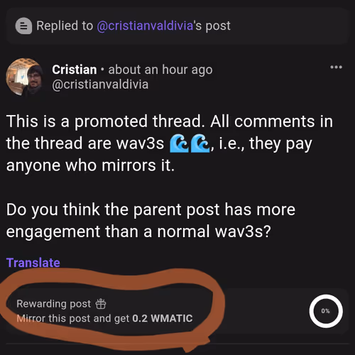 nicocapital.lens-Collect-1438