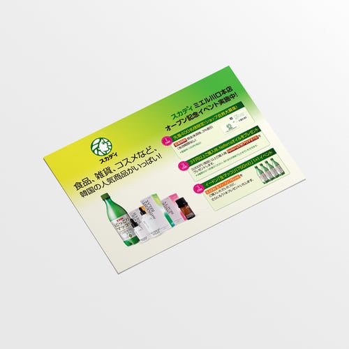 SKADI Japanese Promotional Leaflet Design - Mar. 2021