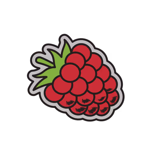 #8 Raspberry