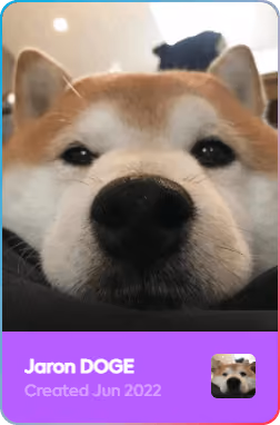Jaron DOGE