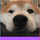 Jaron DOGE