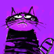Kittycat