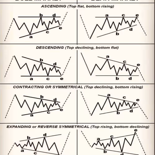 zahrapanahi.lens-Collect-368
