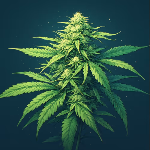 Item #41044403235591501116033765430969195957362268964704651666343485420150707978256 Media