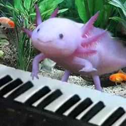 项目媒体占位符