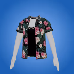 Hawaiian Shirt