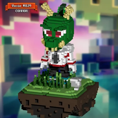 Voxie #839