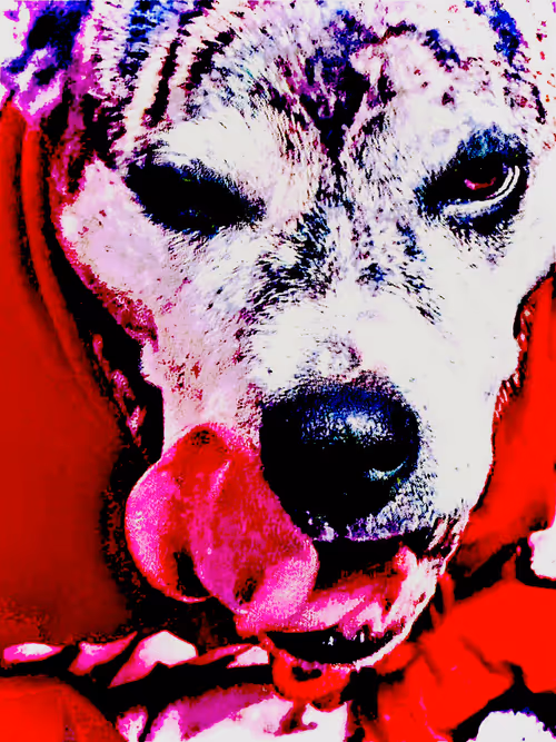 Item #82005189417844818487723094352244922724687394218850571557301120570451738755081 Media