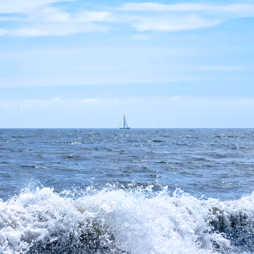 Ocean Daydream