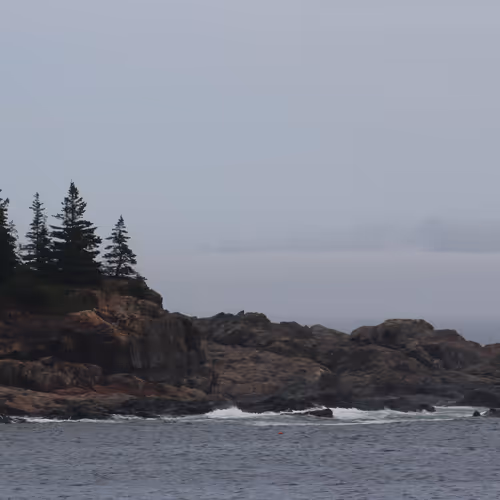 Epic Fog