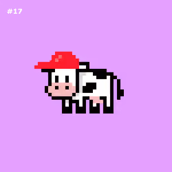 #17