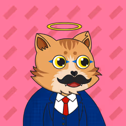 The Fun Cat #1562