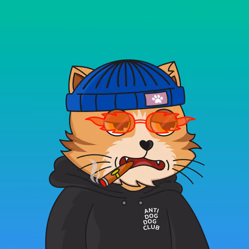 The Fun Cat #3719