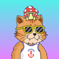 The Fun Cat #1283