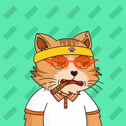 The Fun Cat #1513