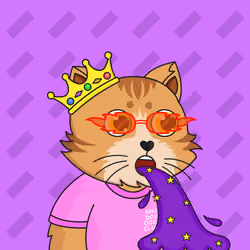 The Fun Cat #1522