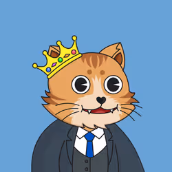 The Fun Cat #1626