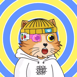 The Fun Cat #2025