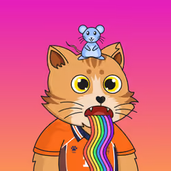 The Fun Cat #70