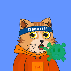 The Fun Cat #3371