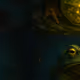 144