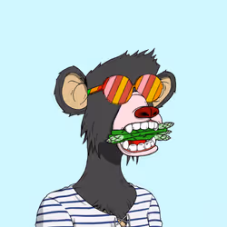 Polygon Bear Yatch Club #3101