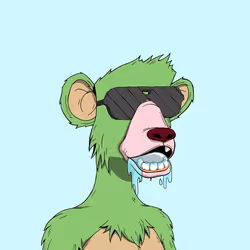 Polygon Bear Yatch Club #4425